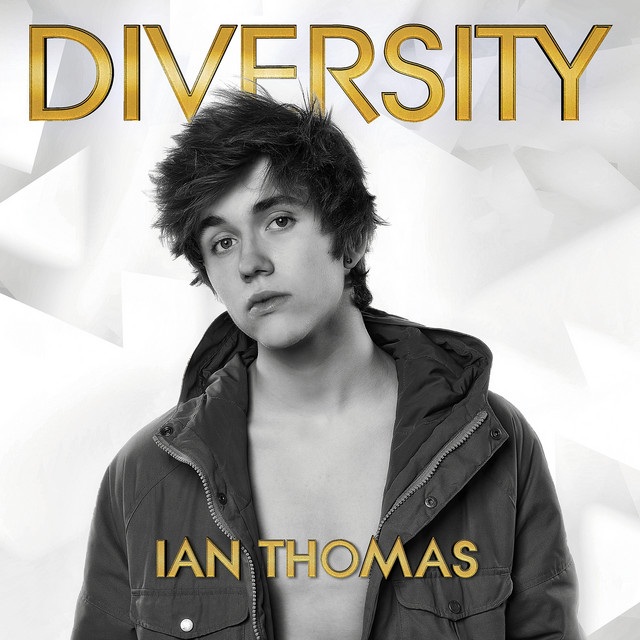 Diversity cover art