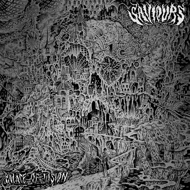 Palace of vision cover art