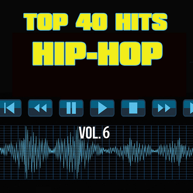 Top 40 Hits Hip Hop, Vol. 6 cover art