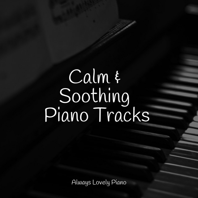 50 Calming Piano Melodies for Work and Study