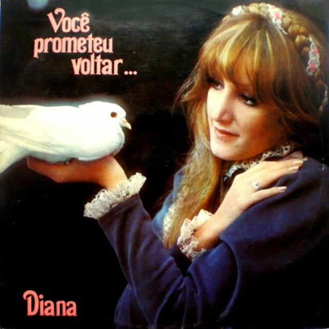 Você prometeu voltar cover art