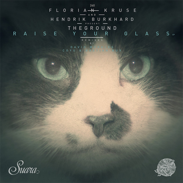Raise Your Glass - Coyu & Bastian Bux Remix cover art