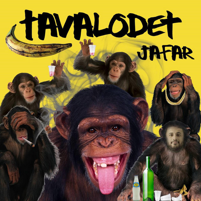 tavalodet cover art