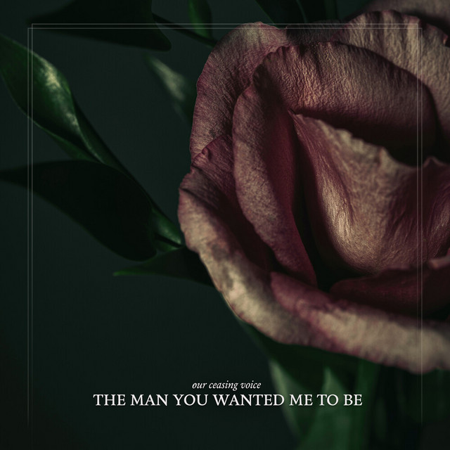 The Man You Wanted Me To Be (single)
