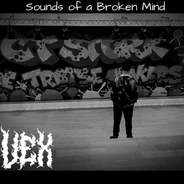 Sounds of a Broken Mind cover art