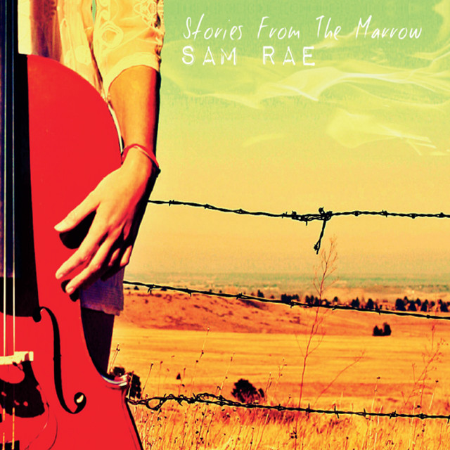 Stories from the Marrow cover art