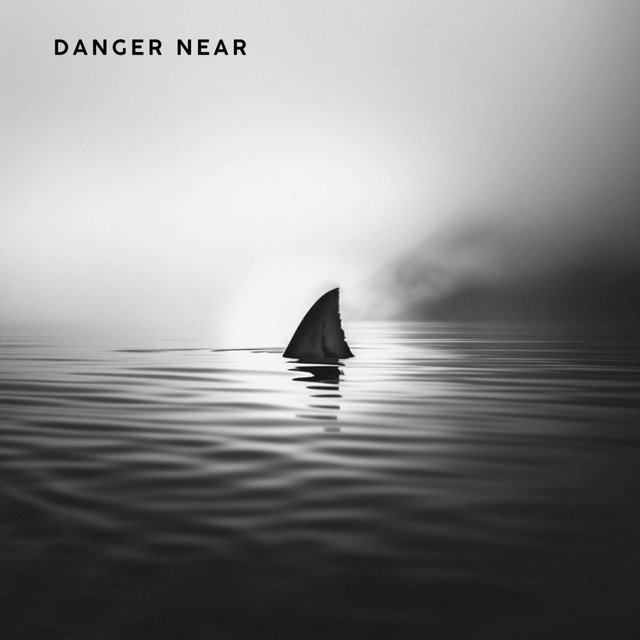 Album cover for DANGER NEAR by SITAEO