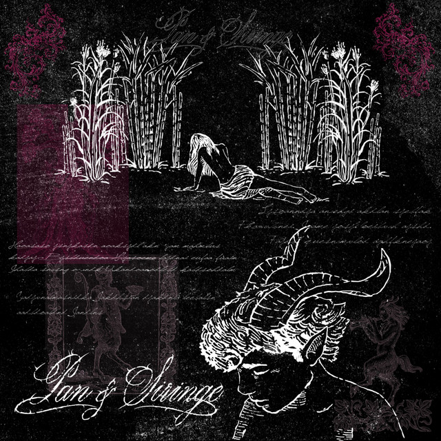 Pan y Siringe cover art