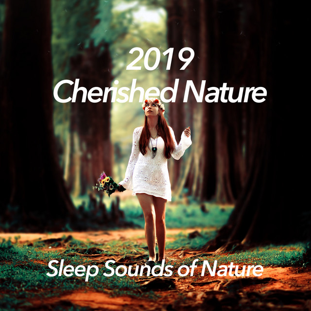 2019 Cherished Nature - Album by Sleep Sounds of Nature | Spotify