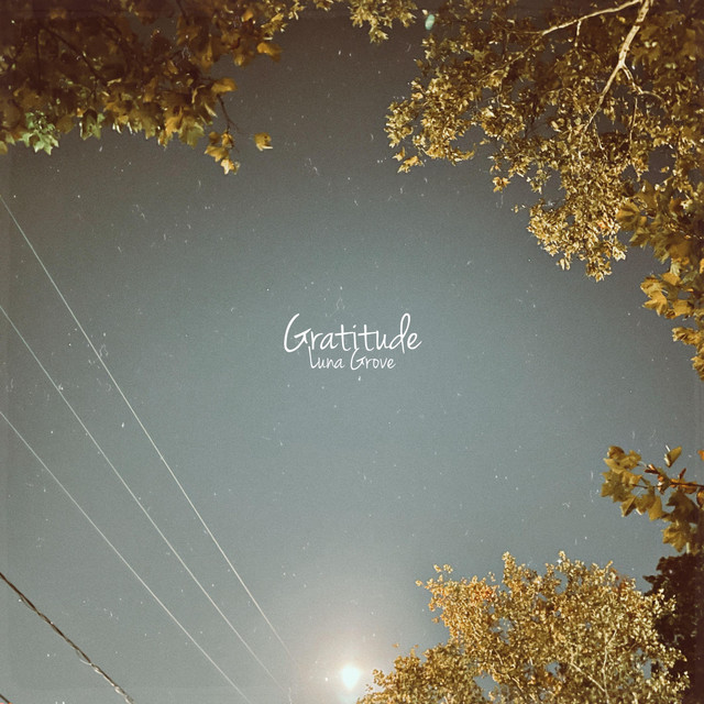 Gratitude - Single by Luna Grove | Spotify