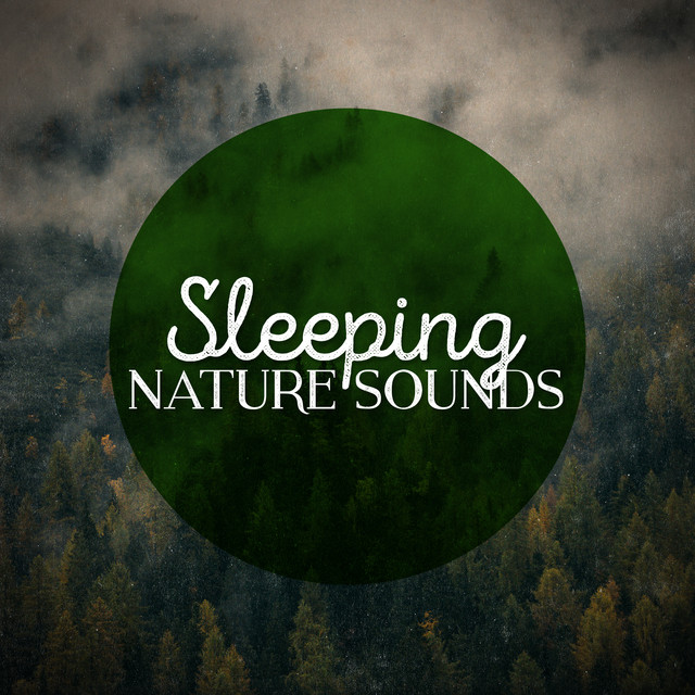 Sleeping Nature Sounds - Album by Nature Sounds for Sleep and ...