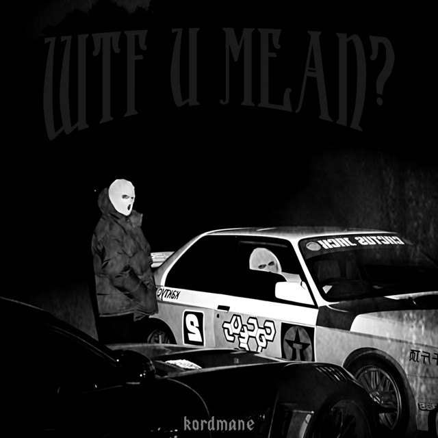Cover art: WTF U MEAN? — kordmane
