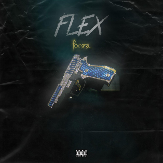FLEX cover art