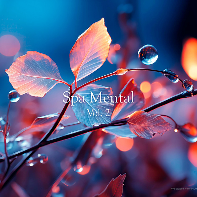 Spa Mental Vol. 2 cover art
