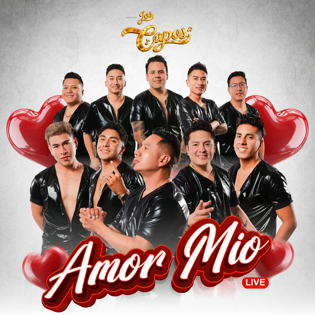Amor Mio (En Vivo) album image