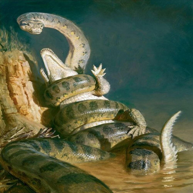 SNAKE LAGOON cover art