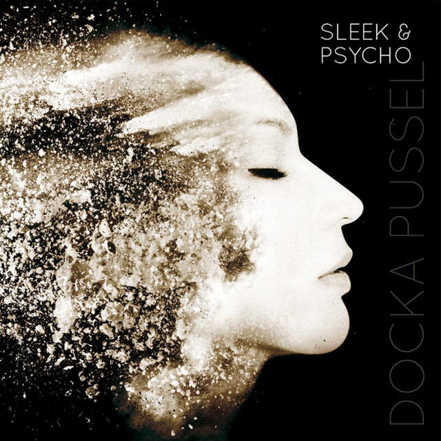 SLEEK & PSYCHO cover art