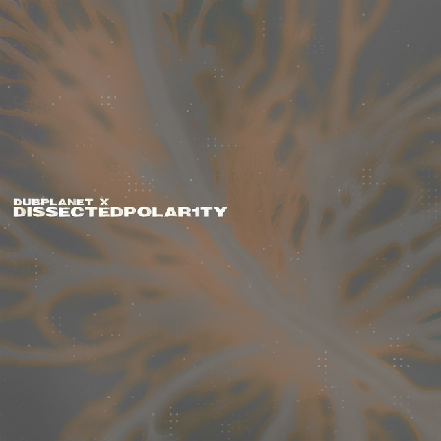 Обкладинка Dubplanet X — Dissected Polar1ty