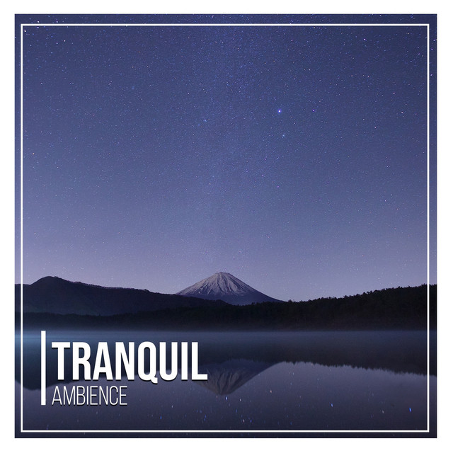 Tranquil Ambience cover art
