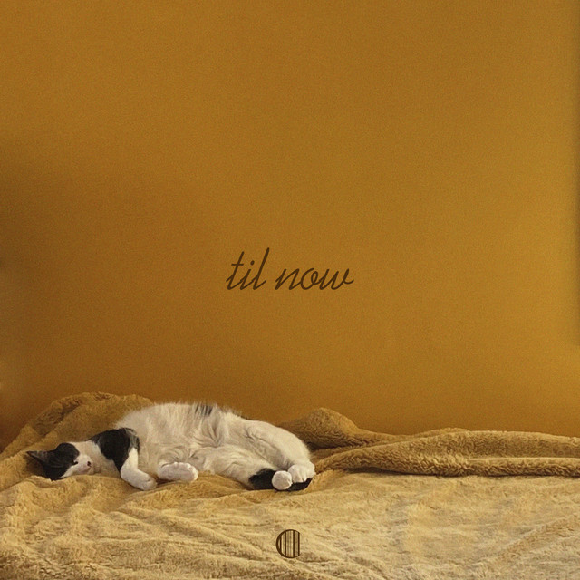til now cover art