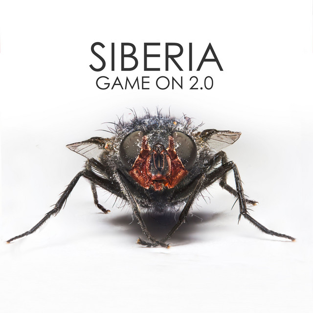 Siberia photo