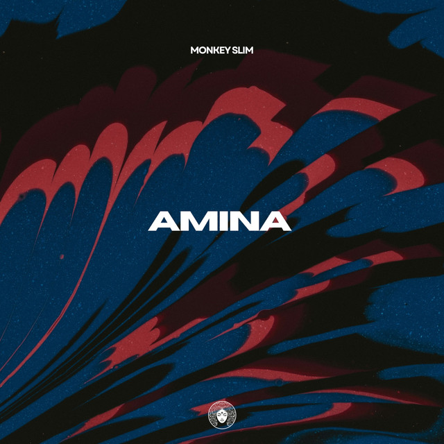 Amina cover art