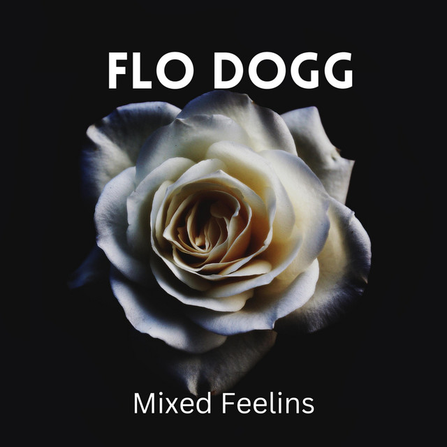 Mixed Feelins - Single by Flo Dogg | Spotify