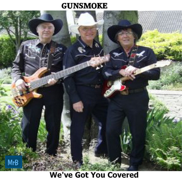 We've Got You Covered cover art