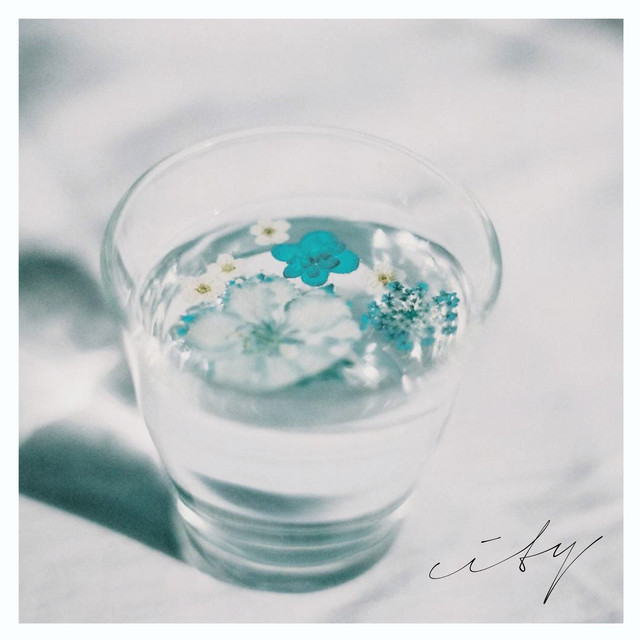 city (Remix) (single)