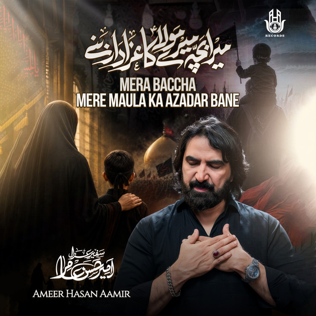 Ameer Hasan Aamir