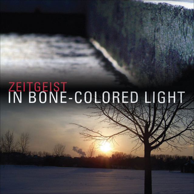 Zeitgeist: In Bone-Colored Light cover art