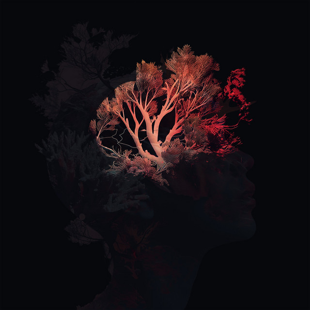 Ceram album art