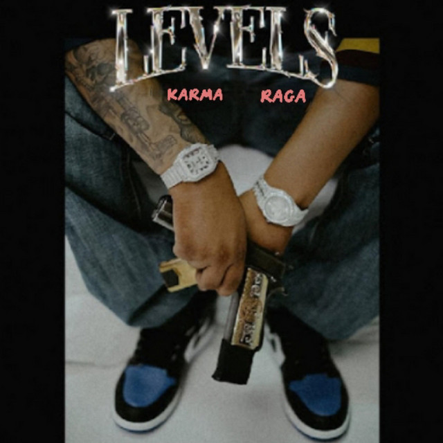 Levels cover art