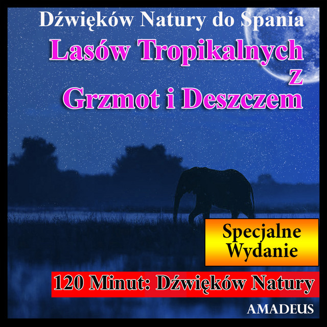 Dźwięków Natury do Spania: Lasów Tropikalnych z Grzmot i Deszczem: Specjalne Wydanie cover art