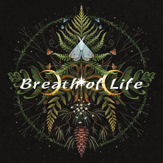 Обкладинка: Breath of Life — VadimoooV