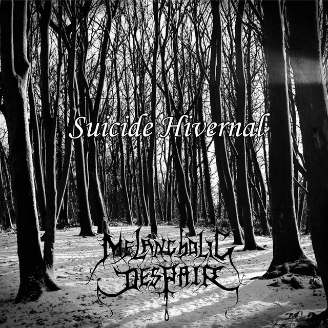 Suicide Hivernal cover art