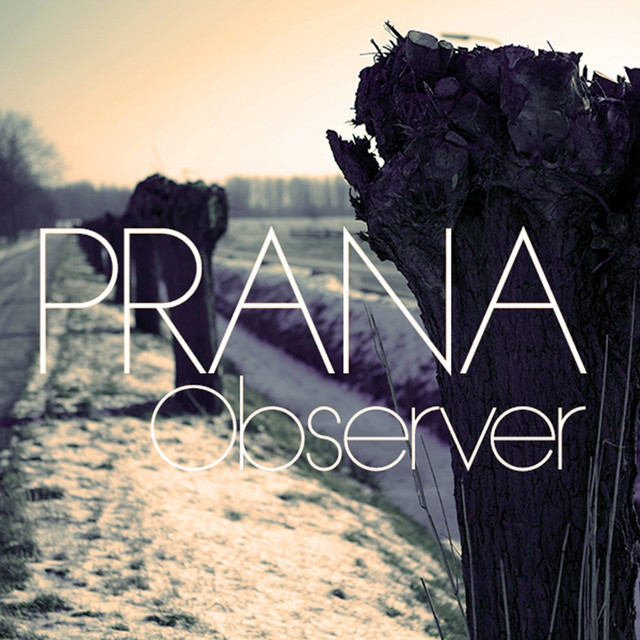Observer - 2013 Edit