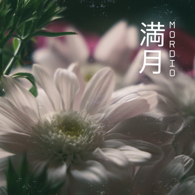 Vollmond cover art