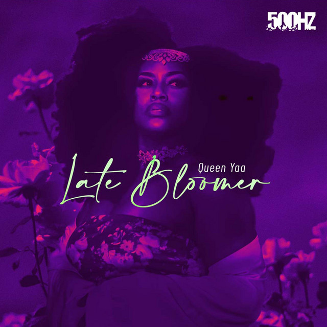 Late Bloomer cover art