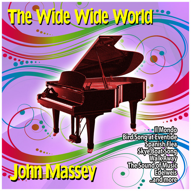 The Wide Wide World cover art