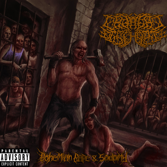 Bohemian Rape & Sodomy cover