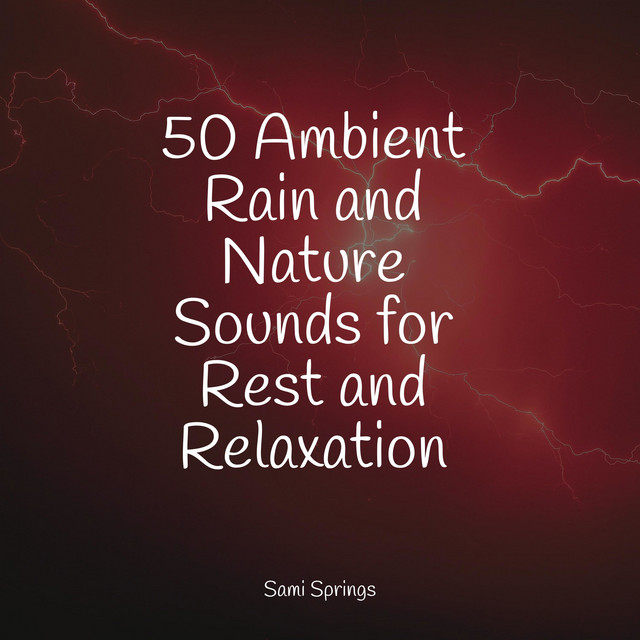 50 Ambient Rain and Nature Sounds for Rest and Relaxation - Album by ...