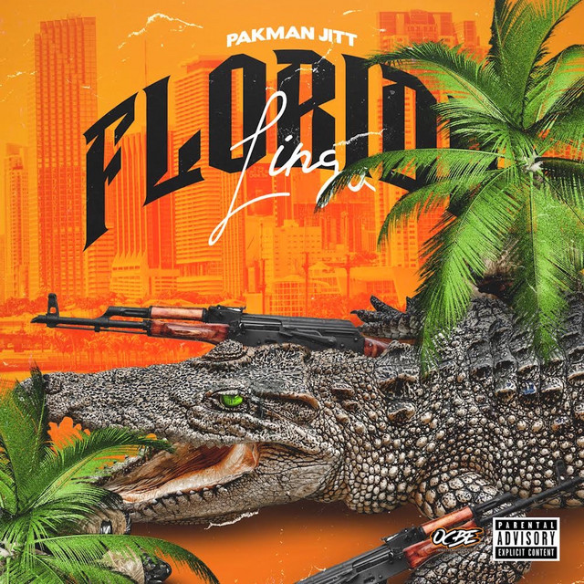 Florida Lingo cover art