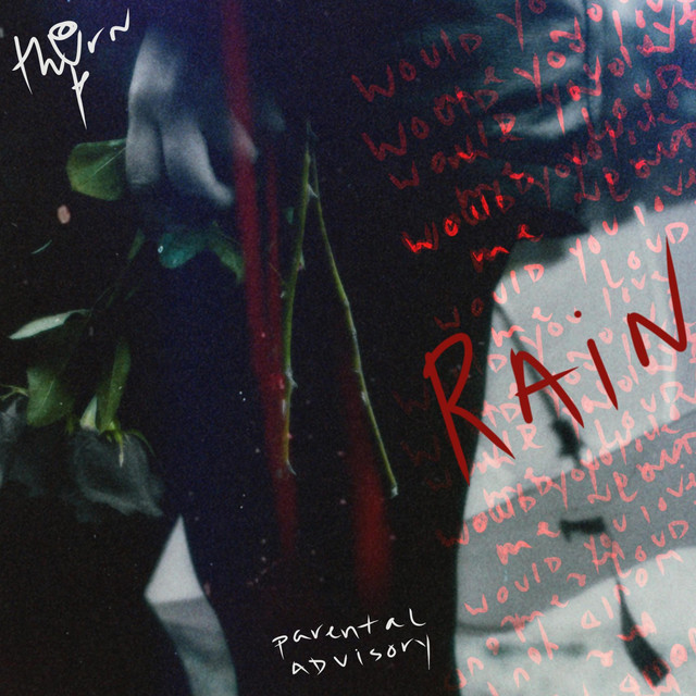 rain cover art