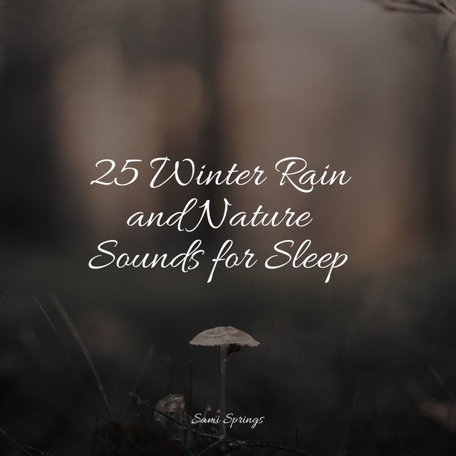 25 Winter Rain and Nature Sounds for Sleep - Album by Nature Sounds for ...