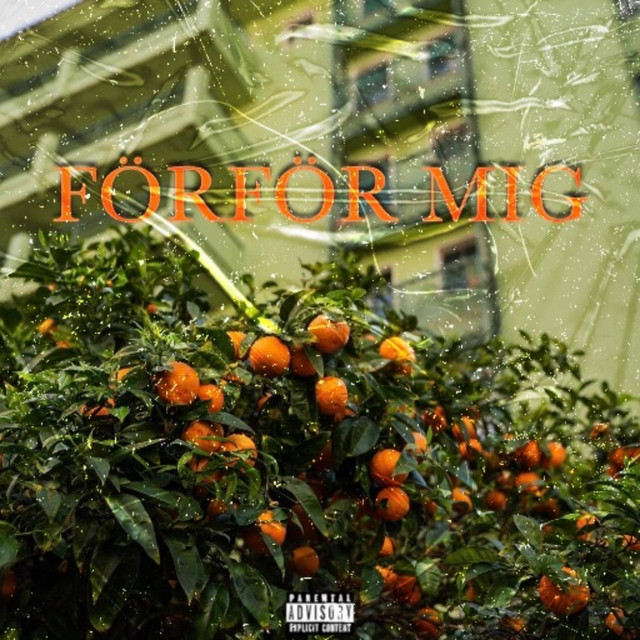 FÖRFÖR MIG cover art