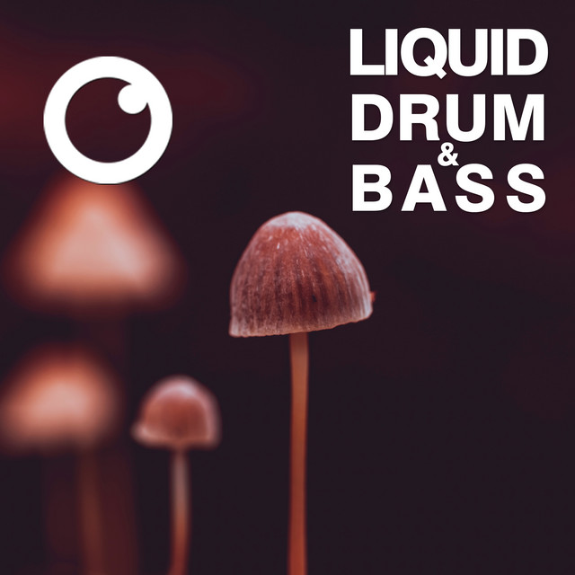 Liquid Drum & Bass Sessions 2020 Vol 34 artwork