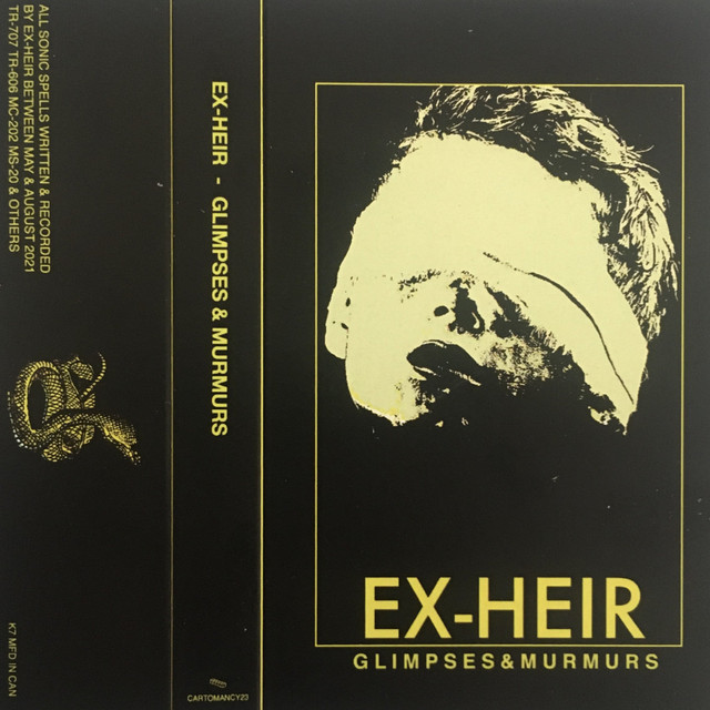 GLIMPSES & MURMURS cover art