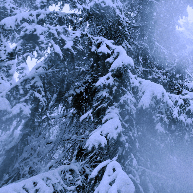 Eira