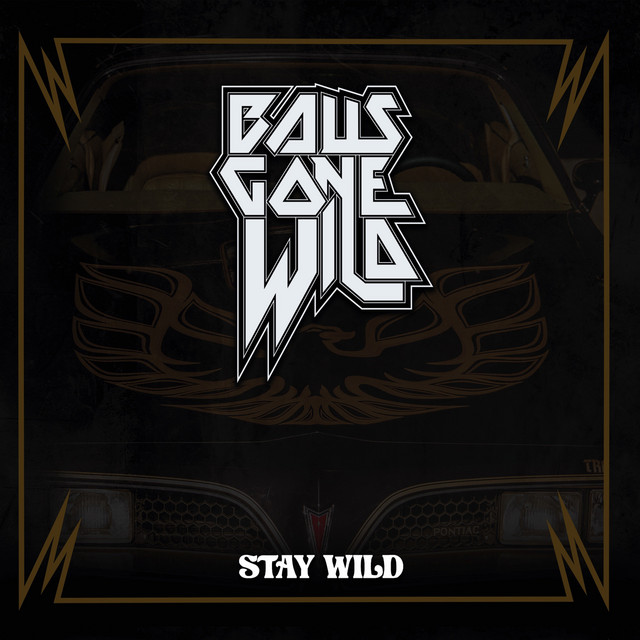Stay Wild cover
